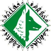 FROSINONE-AVELLINO